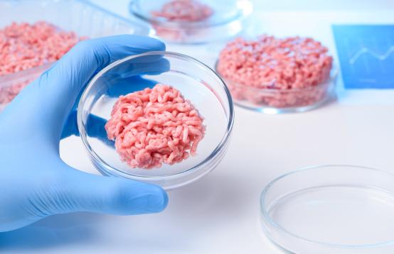 Processed meat in a Petrie dish in a laboratory