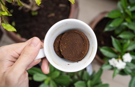 A white cup with coffee being held with plants in the background.