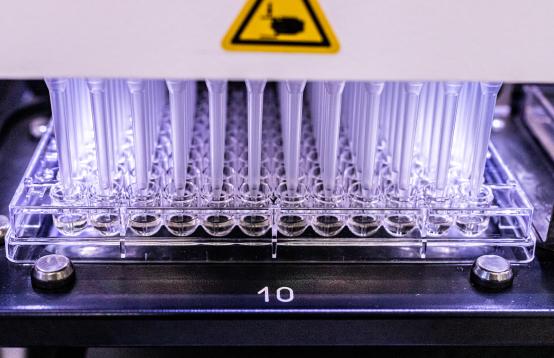 Image of Test Tubes on a tray