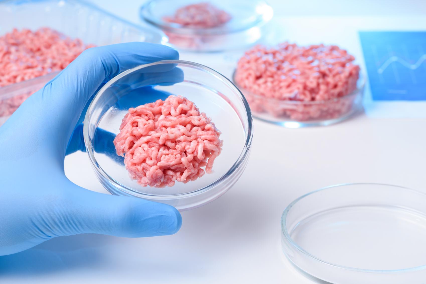 Processed meat in a Petrie dish in a laboratory