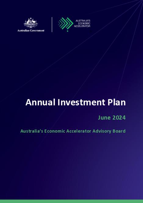 AEA Investment Plan 2024-2025.pdf